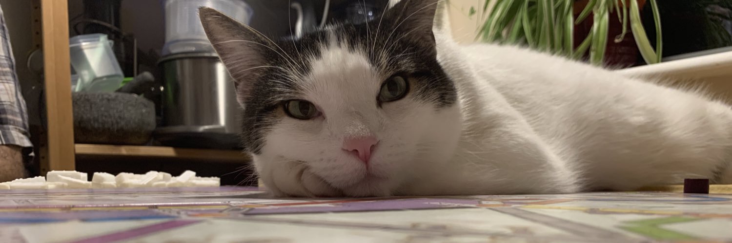 Elisar Cabrera (is being shielded) banner