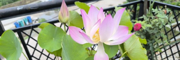 rawatsingh0399 Profile Banner