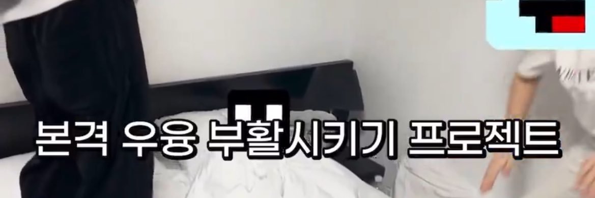 다룽이 banner