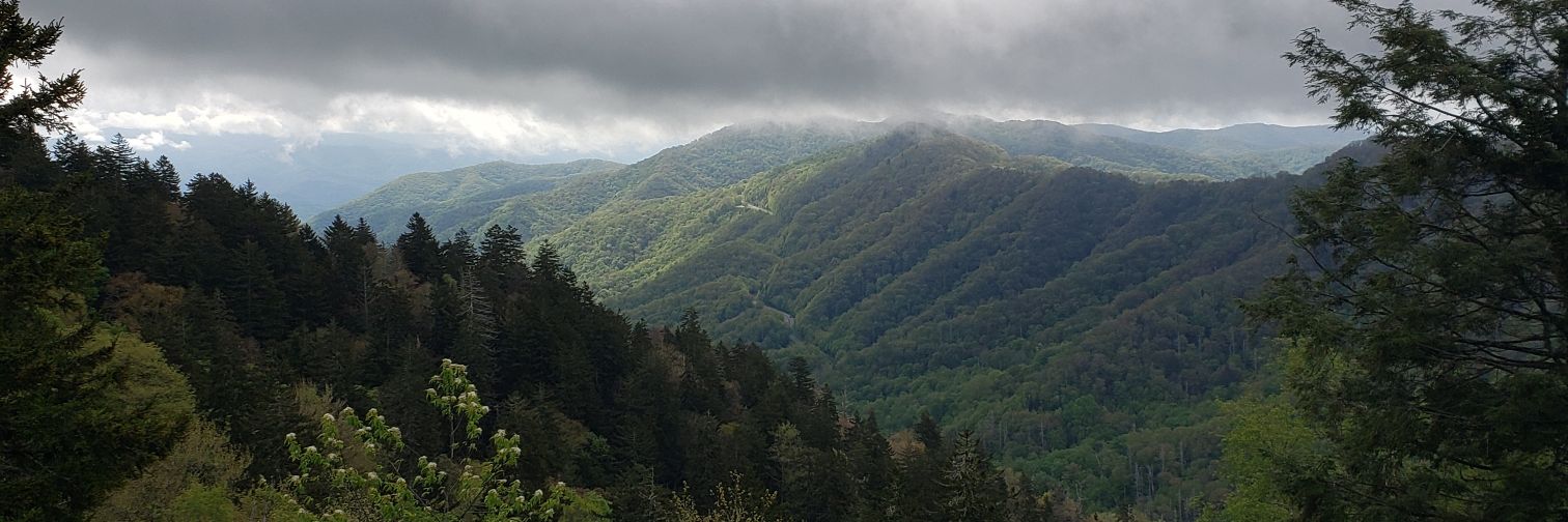 Chris Kidwell banner