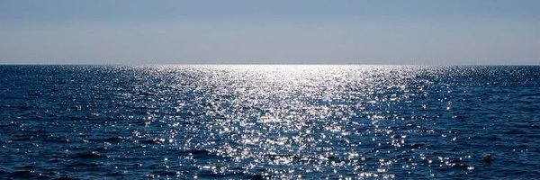 ZedNilm1 Profile Banner