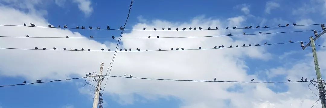 ǝɹǝɥᵃˡᵉˣhere banner