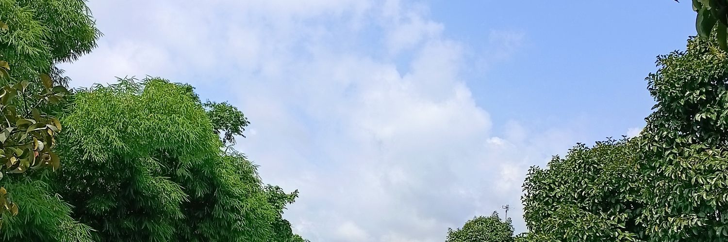 Ela_WH's profile banner image