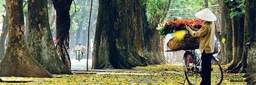 daniel_boy's profile banner image