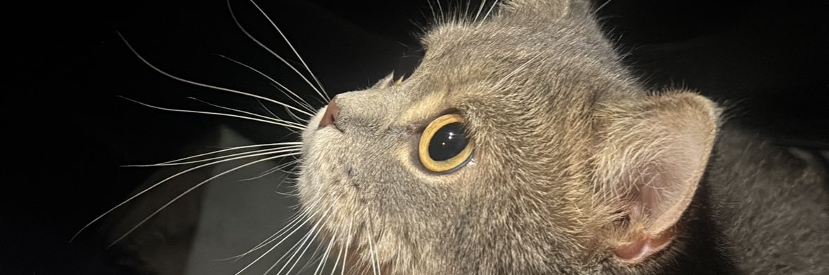 tttugcer's profile banner image