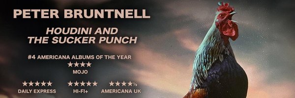 LizaRadley Profile Banner