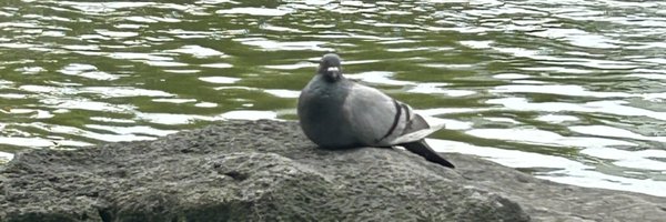 stoatty Profile Banner