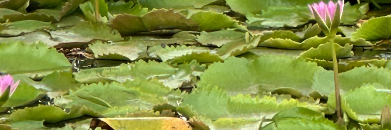KimMahase's profile banner image