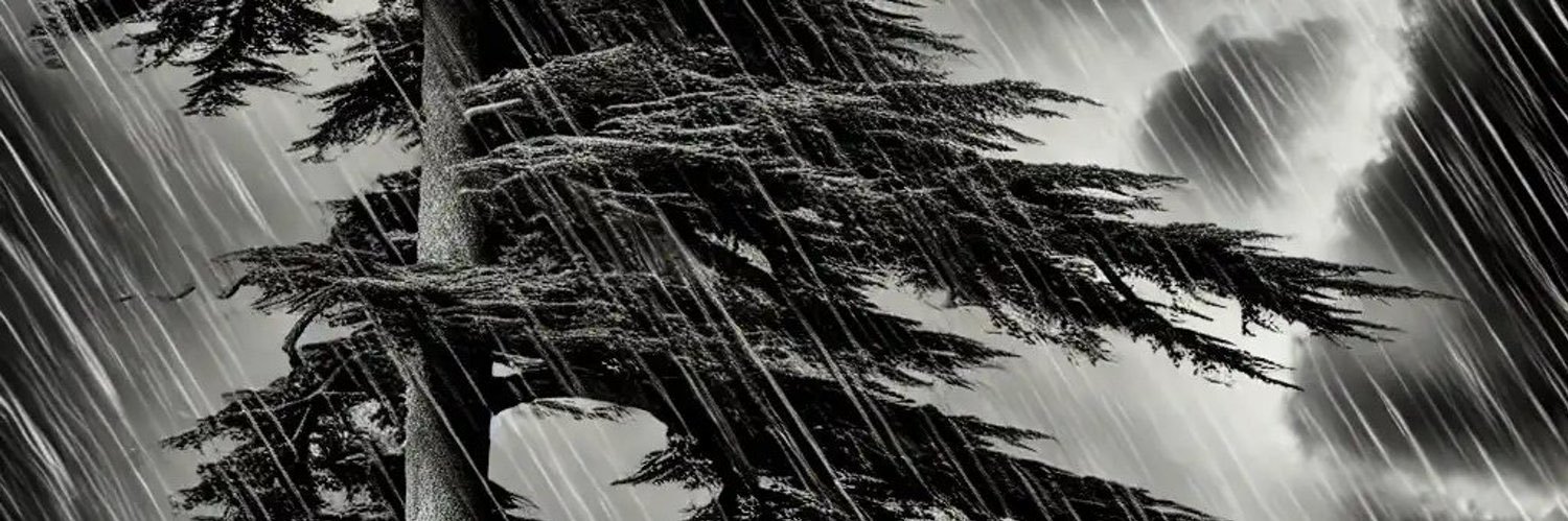 __MarkScott's profile banner image