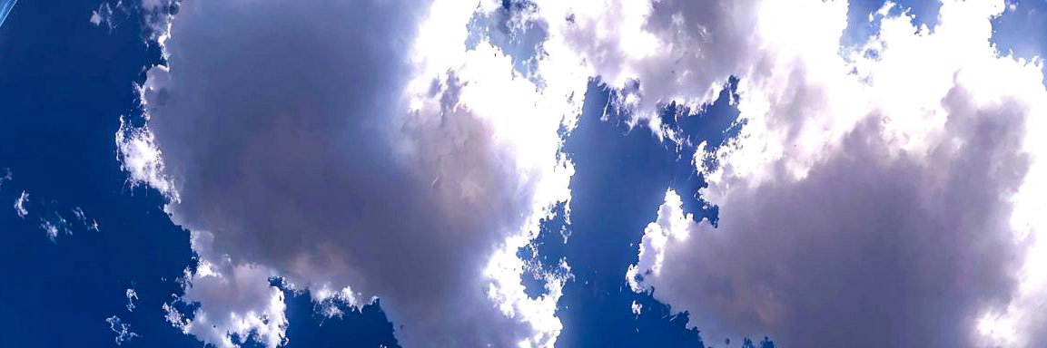 しう@投資家 banner