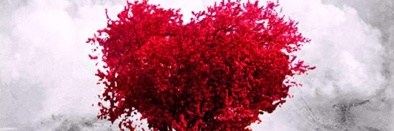 Meli_SsaRW's profile banner image