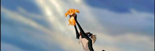 Aquiles Embargo banner