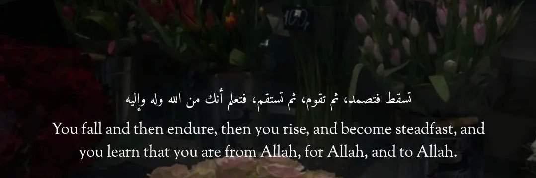 𝐍𝐚𝐫𝐚 ᥫ᭡.ִֶָ𓂃 banner