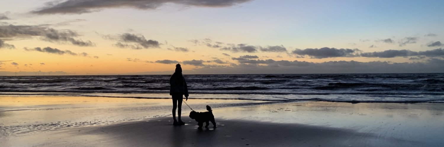 HanzyJx's profile banner image