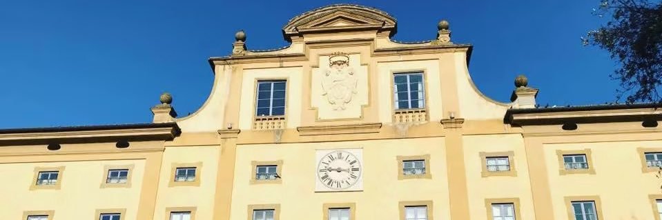 MariaAckermann's profile banner image