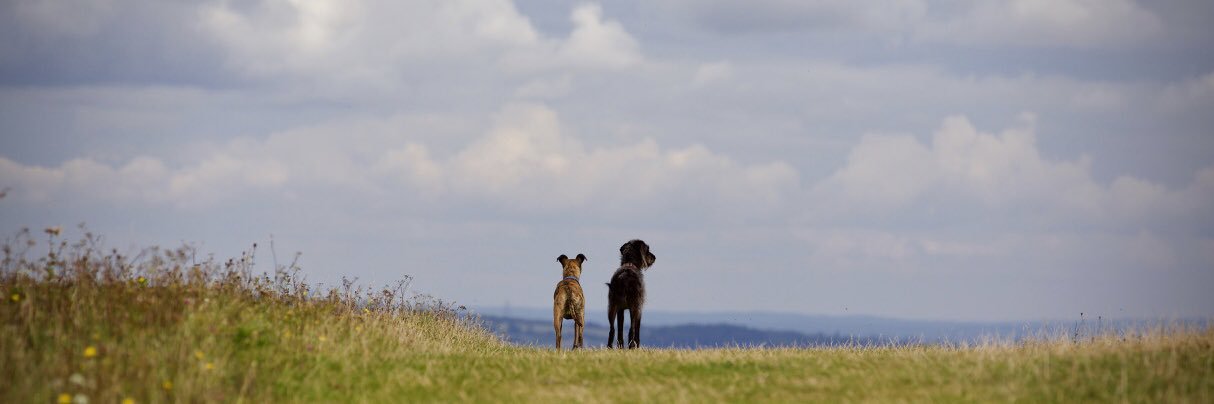 JeanLimpitlaw's profile banner image