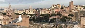 DolaemonE's profile banner image