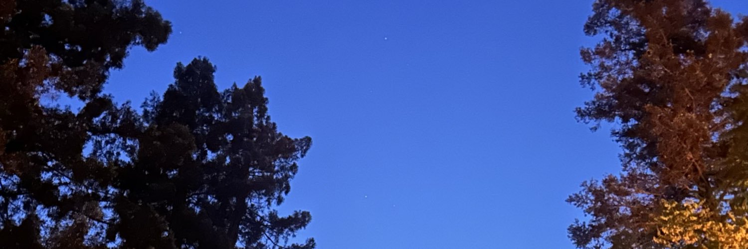 pjplayss's profile banner image