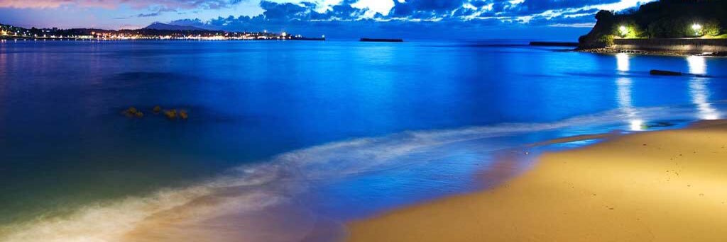 Lissette Selman banner