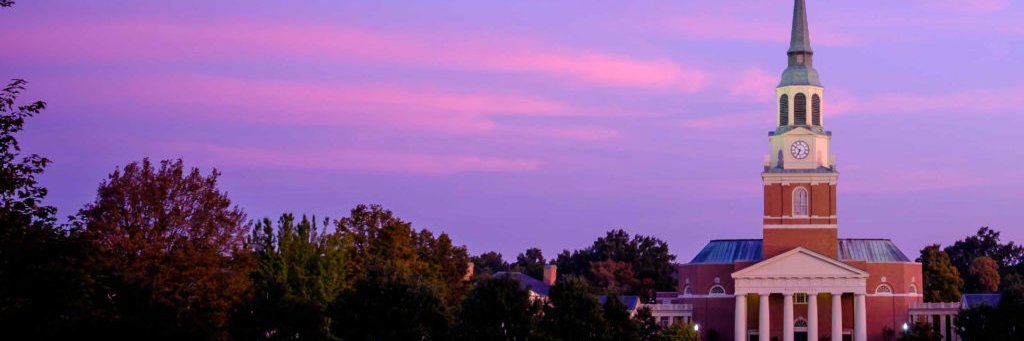 stacymccoy's profile banner image