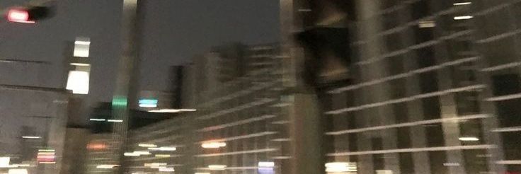 Lionn𓃠 | banner