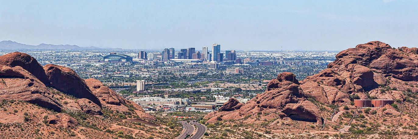 Phoenix Buzz banner