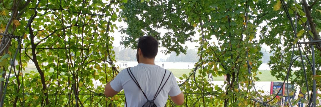 Magaldi6's profile banner image