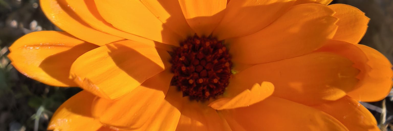 killoagp's profile banner image