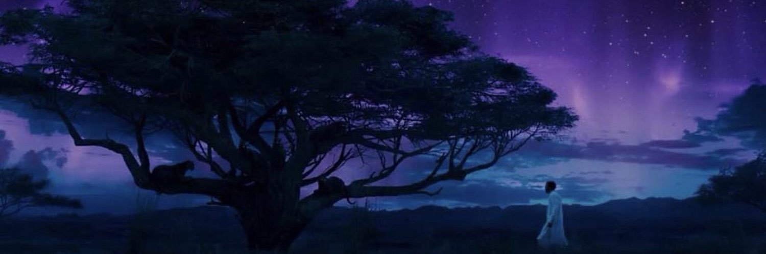 Timodelle's profile banner image
