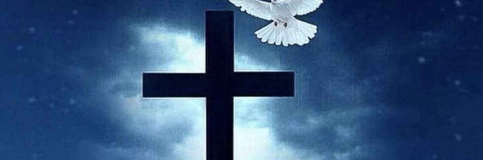 NoneofYourBeezWax banner