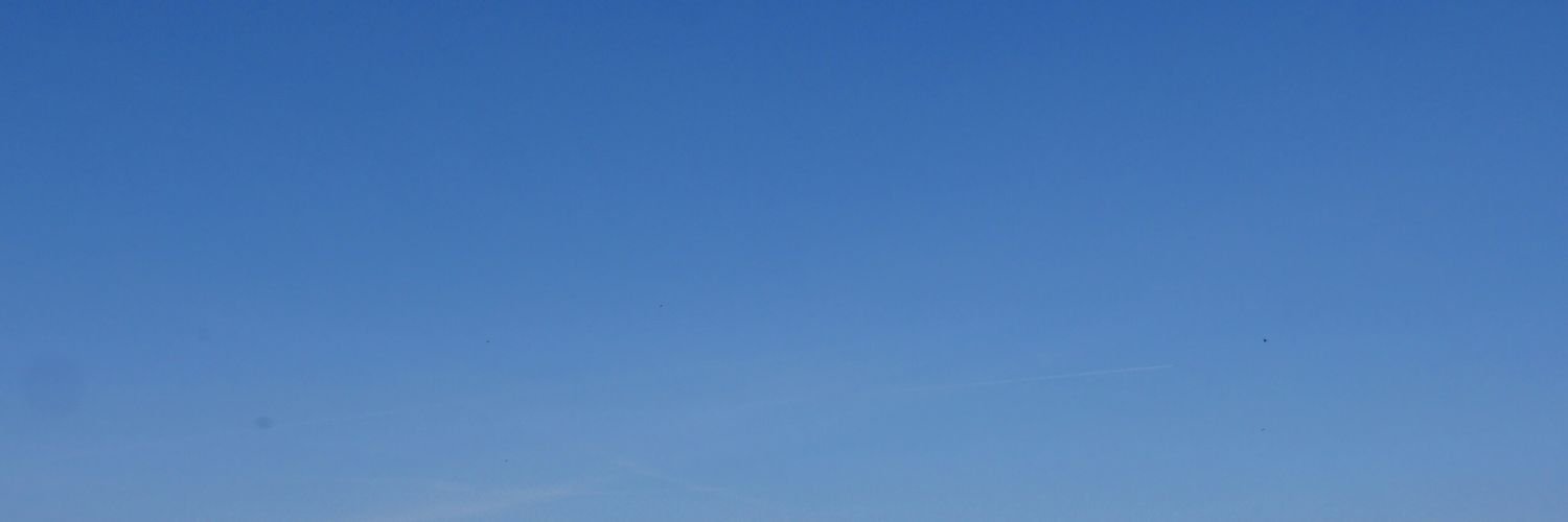 LTesfai's profile banner image