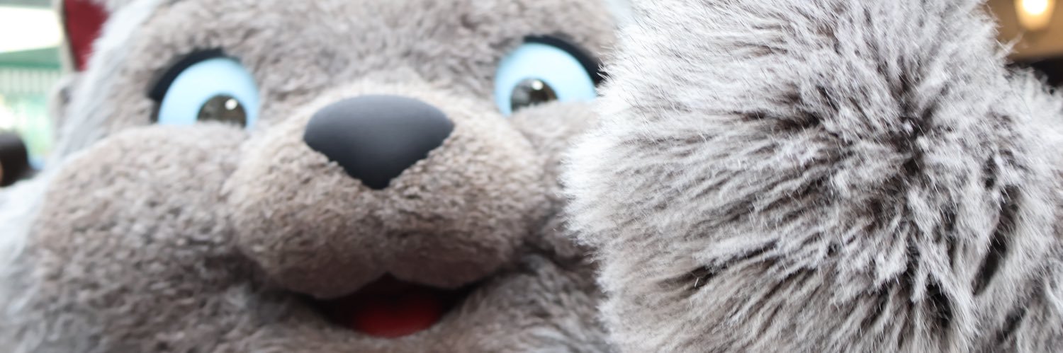 𝑢 banner