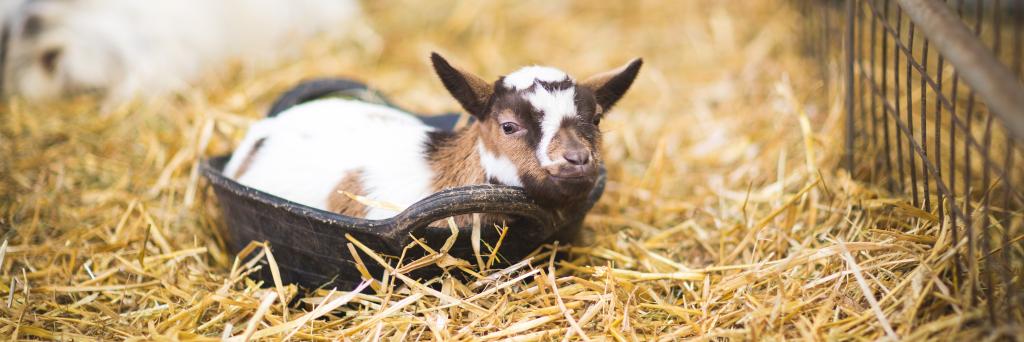 Fishers Farm Park banner