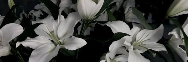 sainroseaz Profile Banner