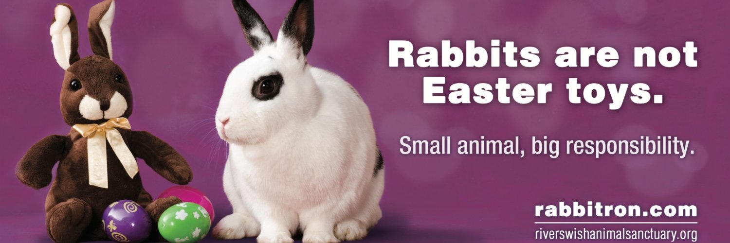 🏴󠁧󠁢󠁳󠁣󠁴󠁿ChanaEstherDafna🏴󠁧󠁢󠁷󠁬󠁳󠁿 banner