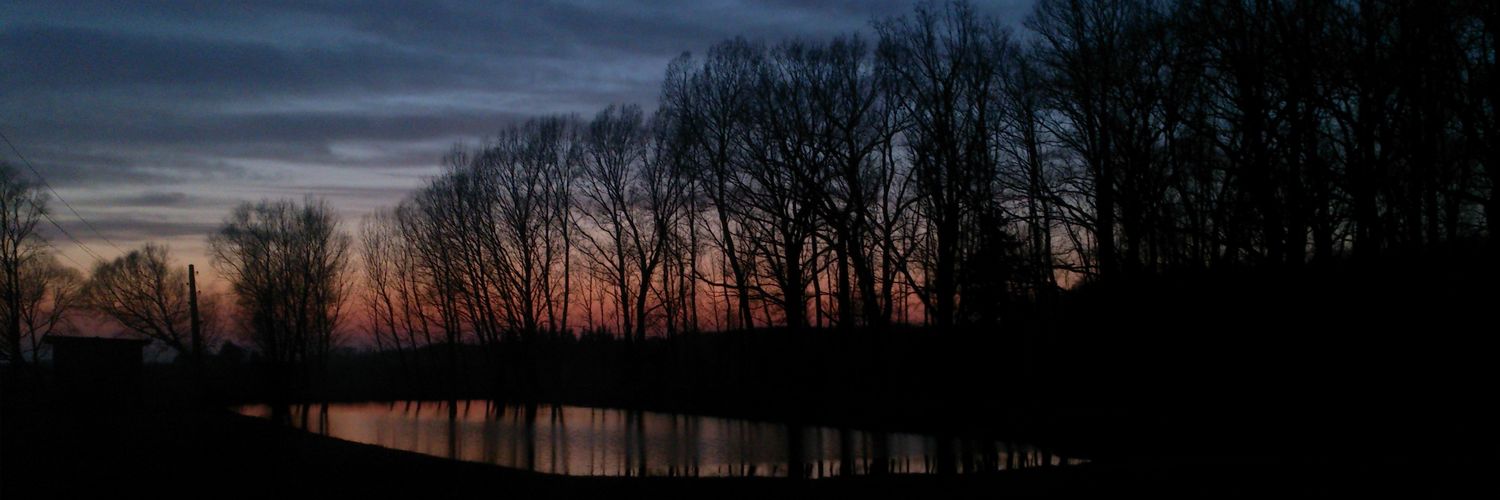 Sauljiitee's profile banner image