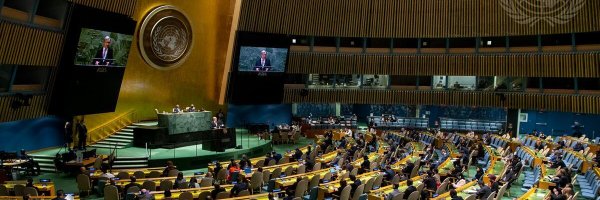 UNinWashington Profile Banner