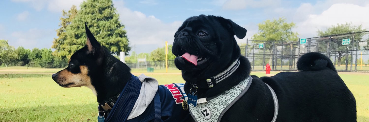 EmyNeazoa's profile banner image