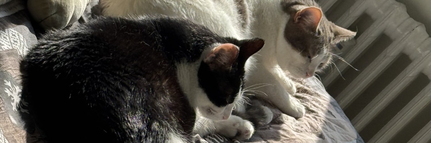 ◢ ◤ banner