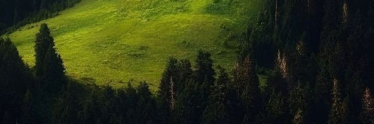 kiella banner