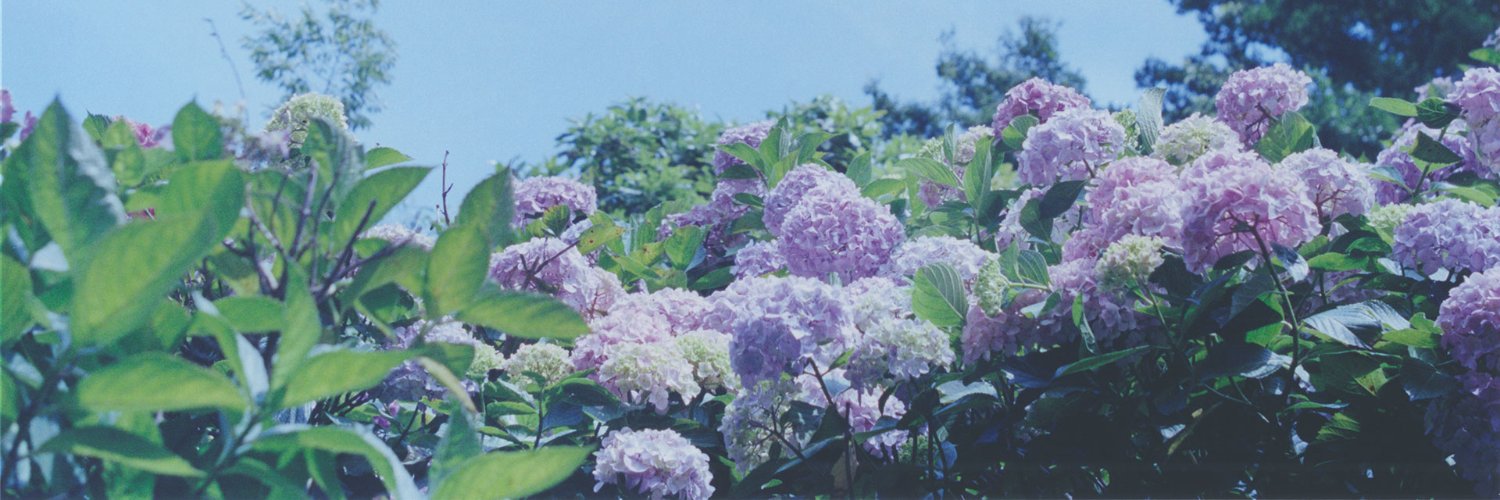siowyi91's profile banner image