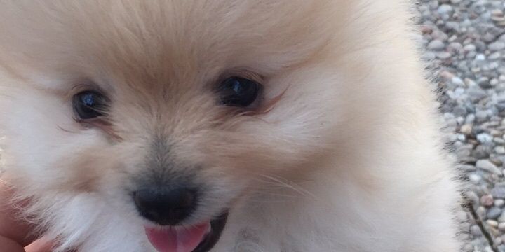 AlmuLoveme's profile banner image