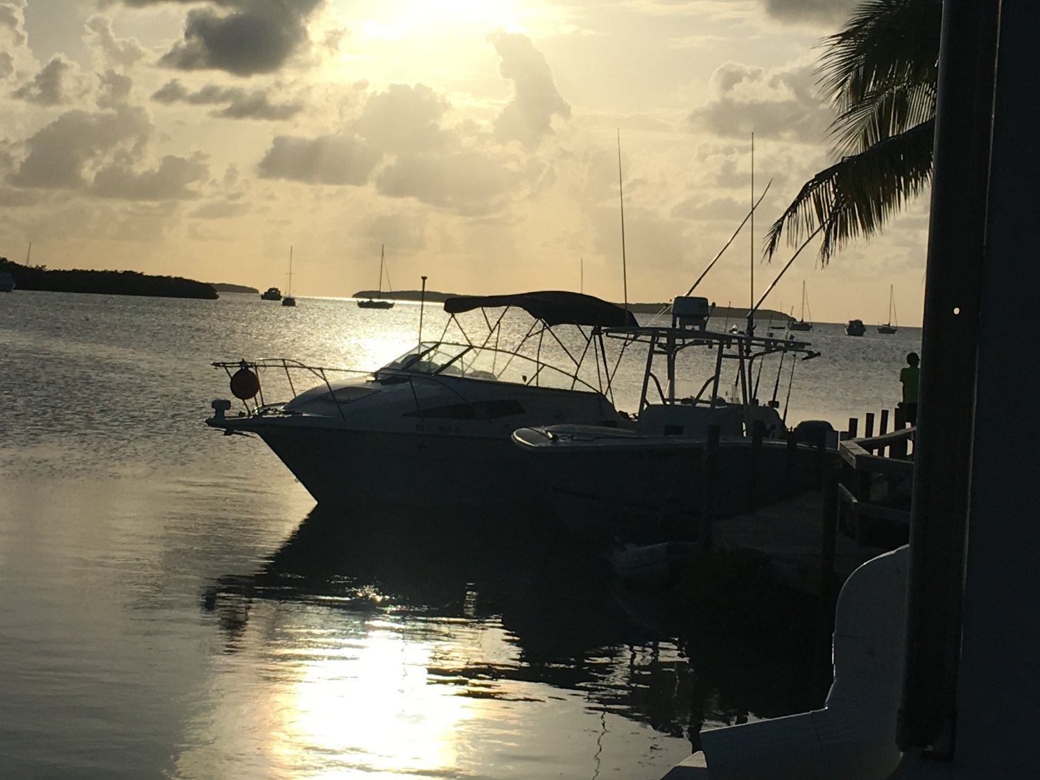 🇺🇸JohnvanM🇳🇱 banner