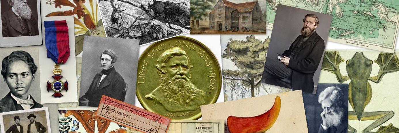 Alfred Russel Wallace banner