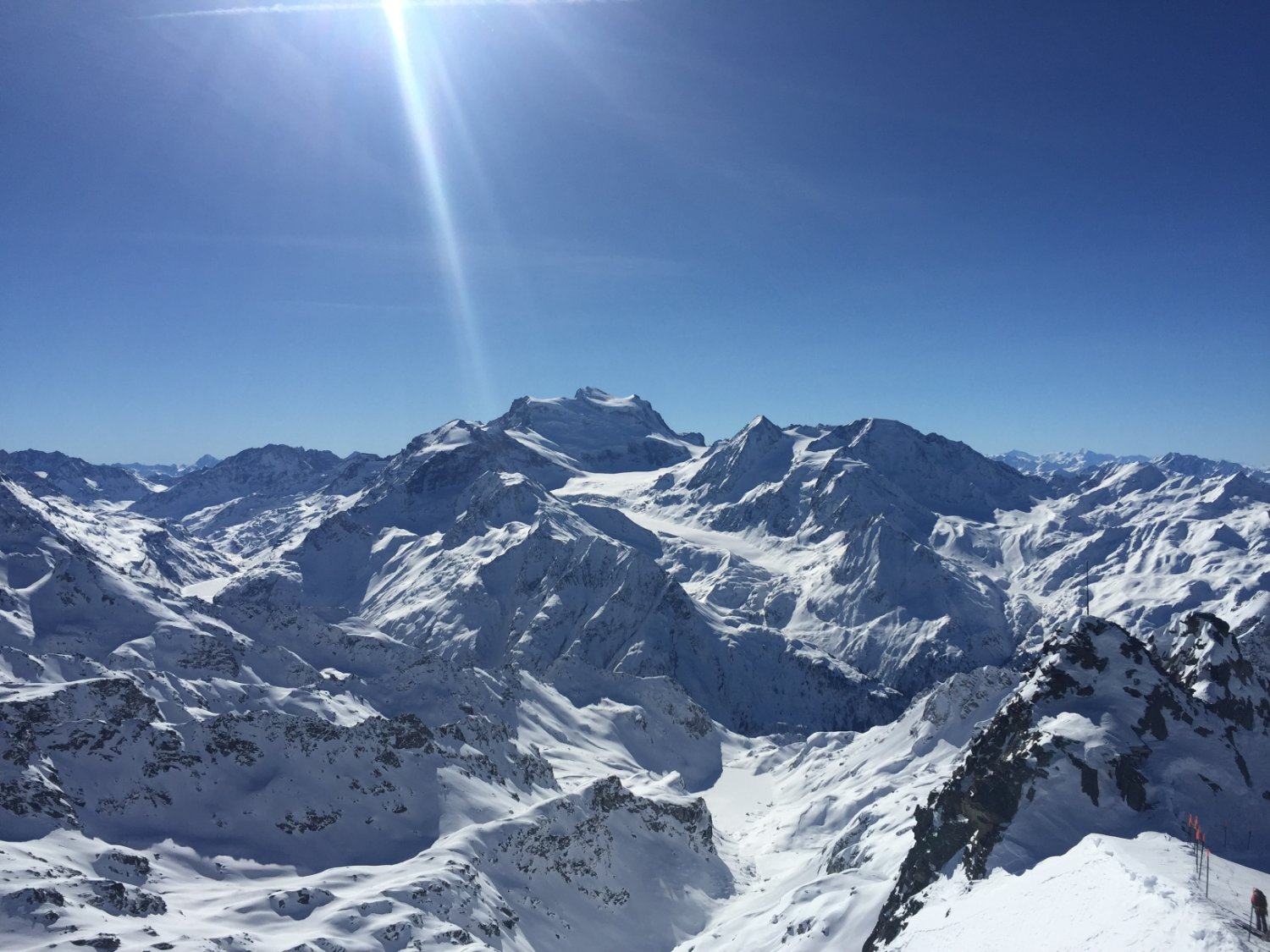 Dr. Natasha Carolan banner