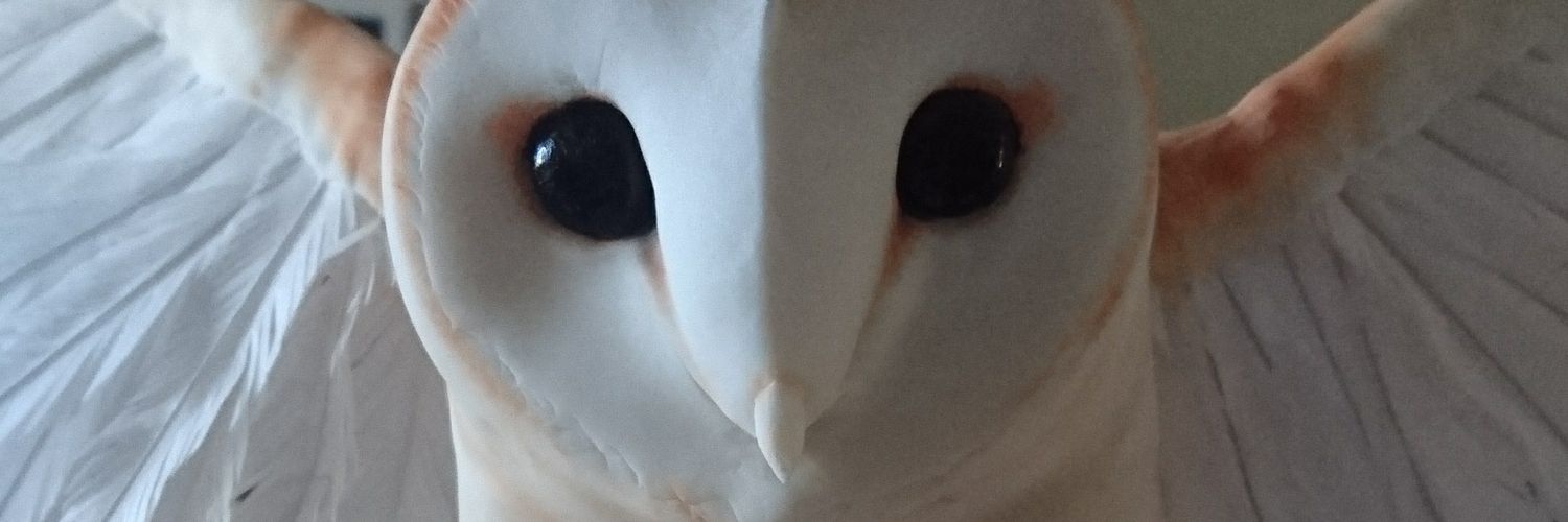 CakeandSaunders's profile banner image