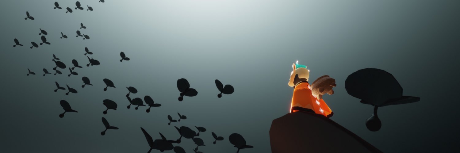 coelakaleido's profile banner image
