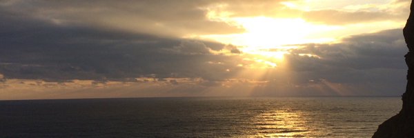 whatiscrypto9 Profile Banner