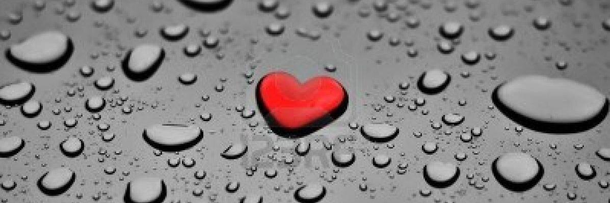 marianbujan's profile banner image