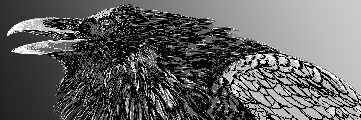 taellosse's profile banner image